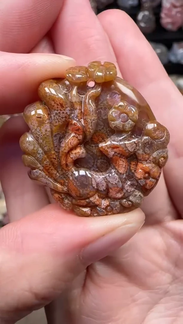 颈饰未镶嵌硅化珊瑚（珊瑚玉）836