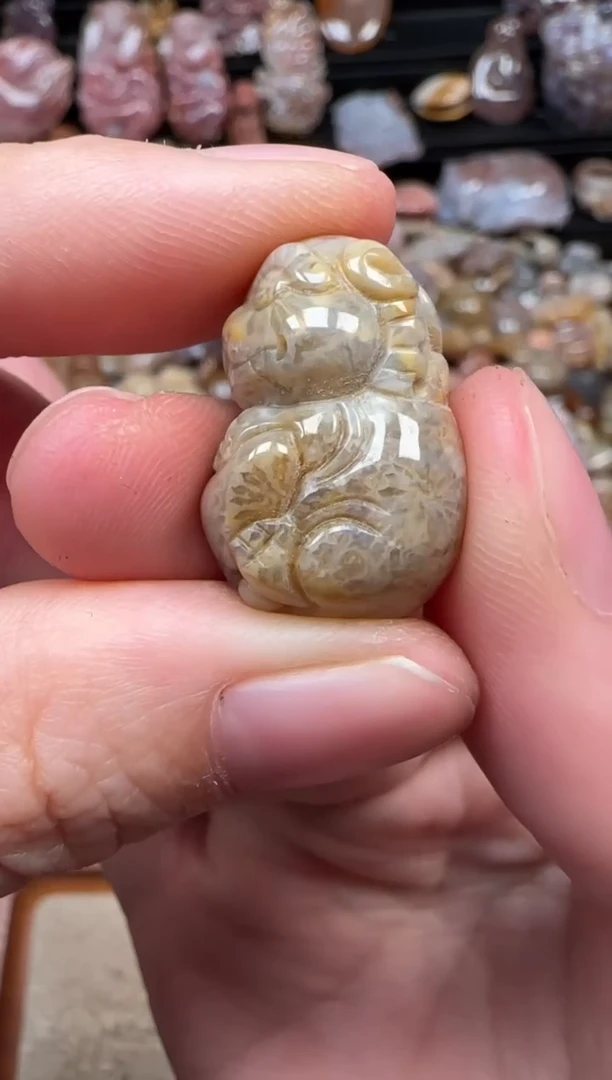 颈饰未镶嵌硅化珊瑚（珊瑚玉）330