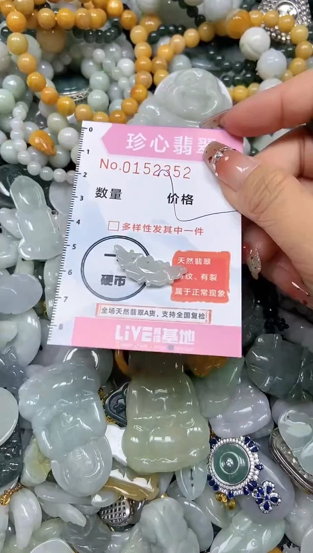 【闪购商品】翡翠颈饰未镶嵌闪购链接0152352