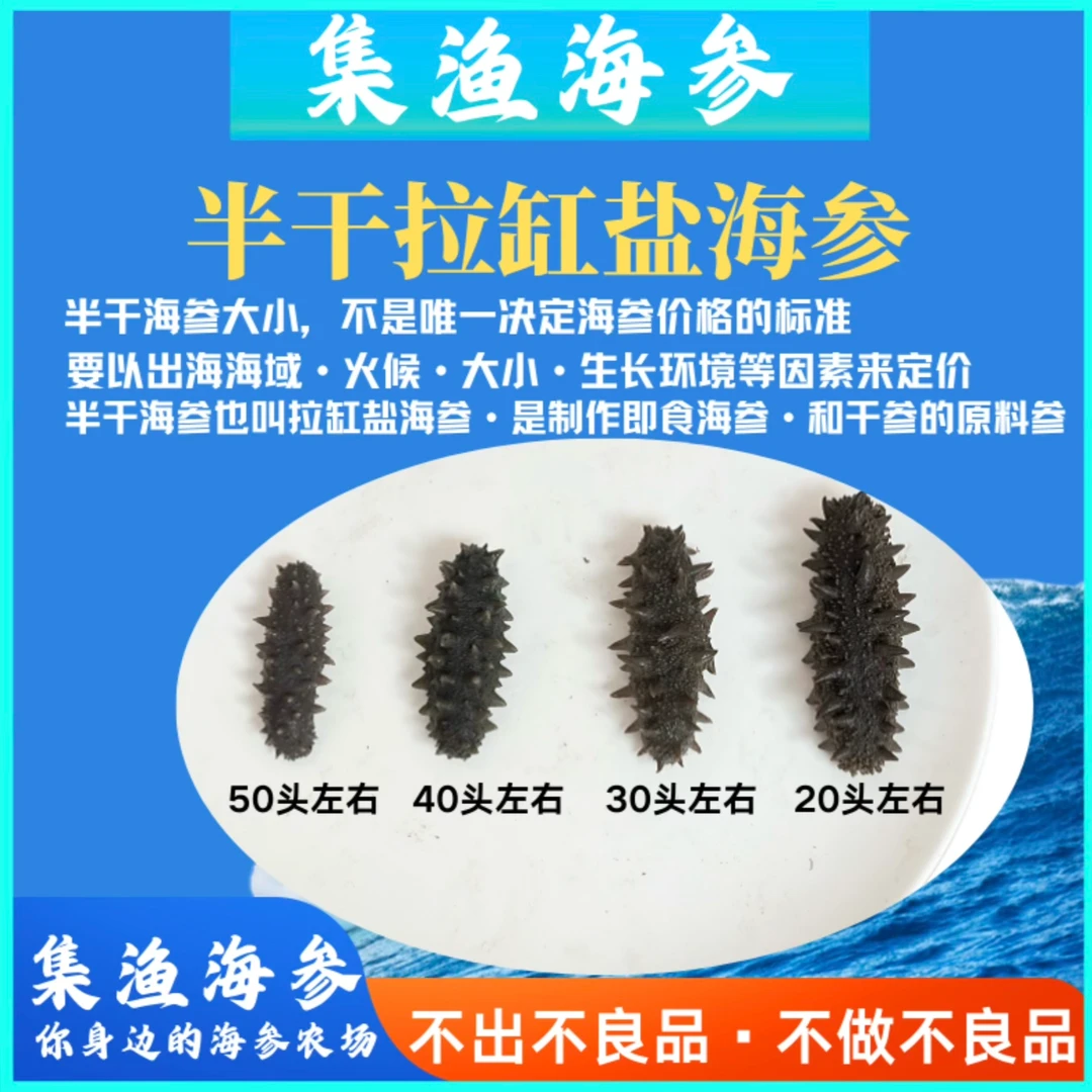【自家海域】半干20-25头发4倍 大连底播大火拉缸盐 现挑现选大连发