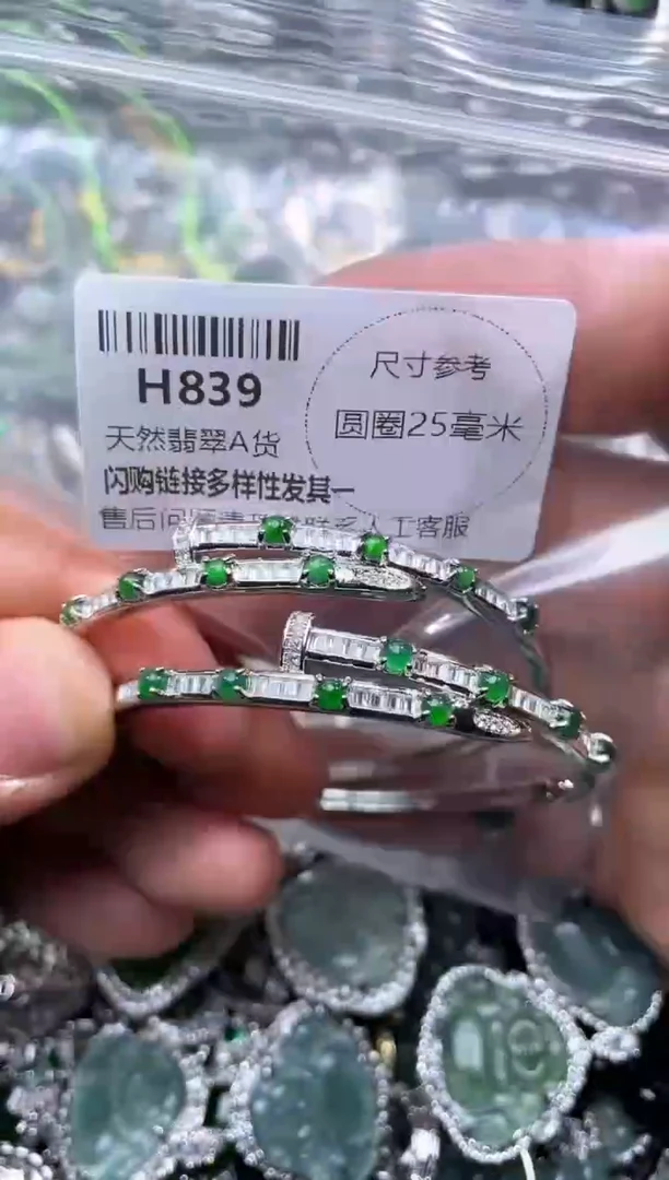 【闪购商品】翡翠颈饰未镶嵌H839手镯 多样性发其一