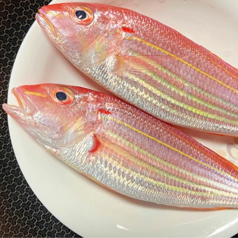 金线鱼阳江灯光船超大号正宗金丝鱼海鲜(250g~400g/条)p