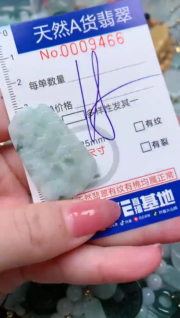 【闪购商品】翡翠颈饰未镶嵌00009466