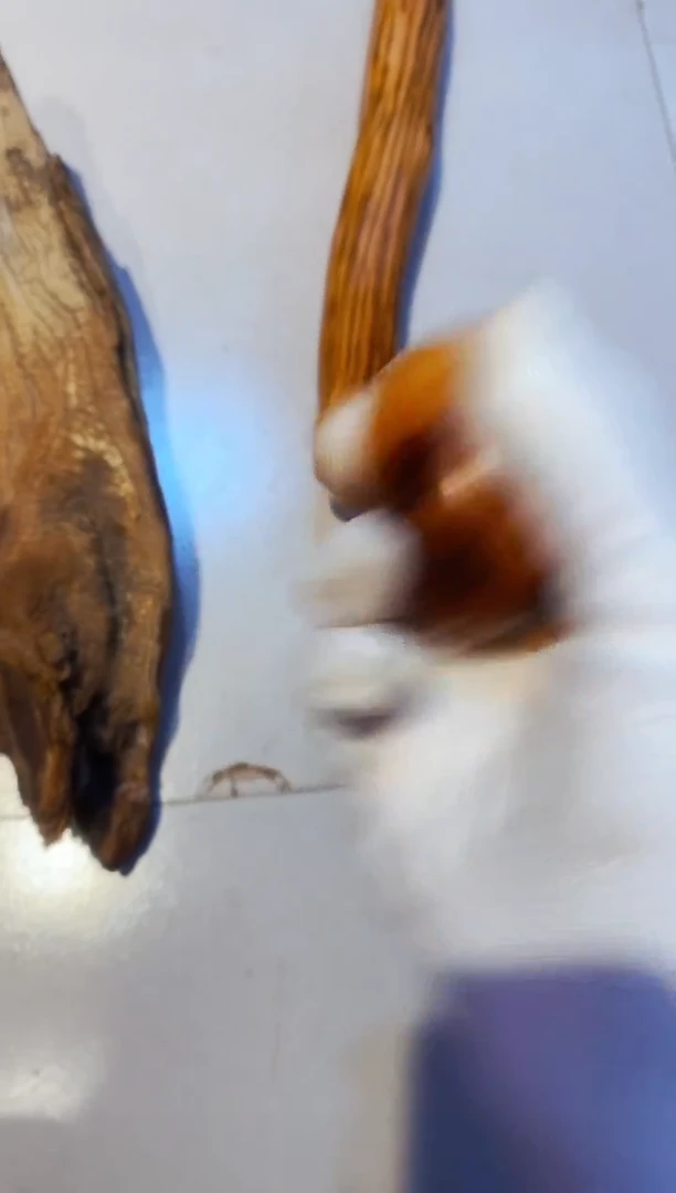 柏木（崖柏）53太行崖柏陈化手把手串