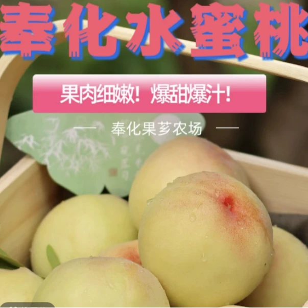 琳姐福利高端礼盒12枚果奉化水蜜桃良方湖景新鲜采摘产地直发桃子