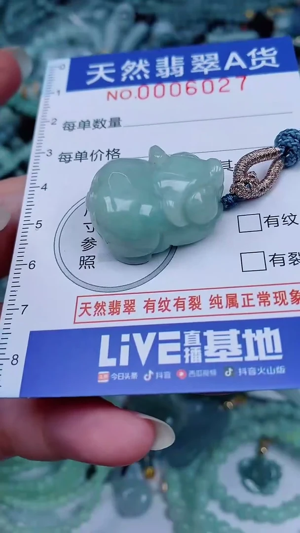 翡翠未镶嵌颈饰00006027