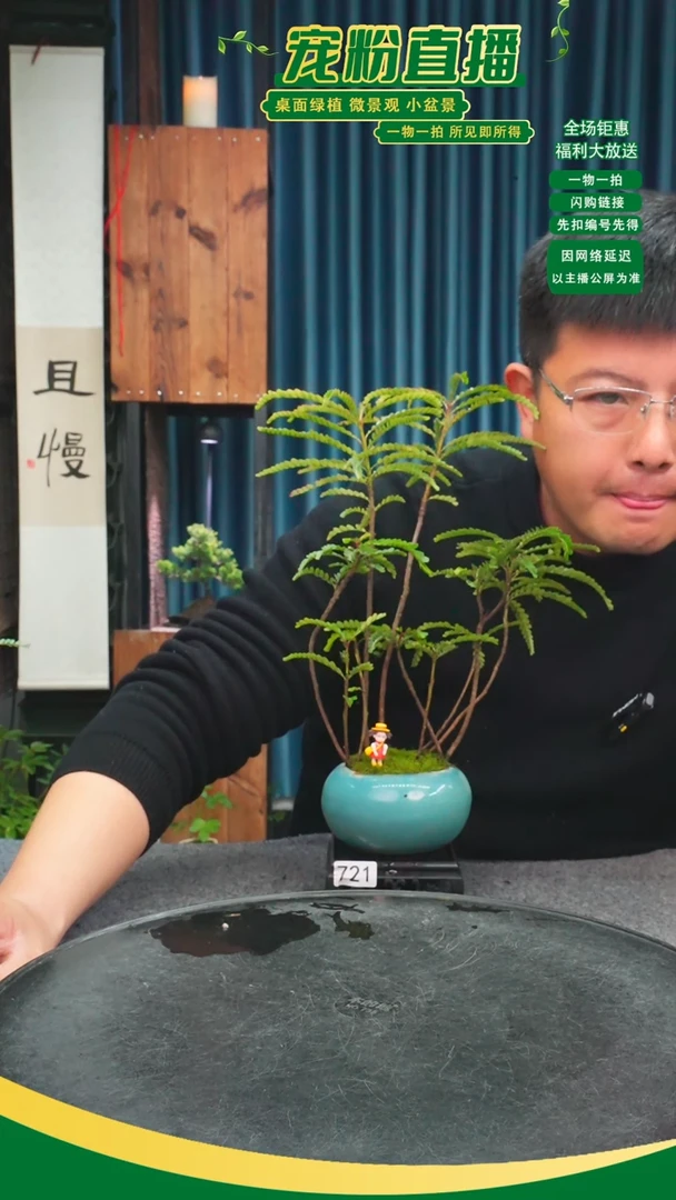 无花朵静*?苔藓微景观721号