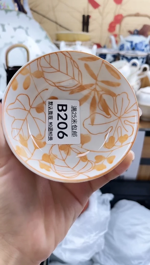 ==============b206