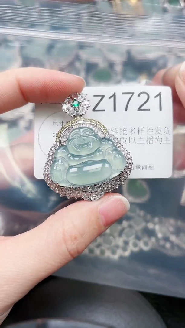 【闪购商品】翡翠颈饰未镶嵌赠皮绳1721