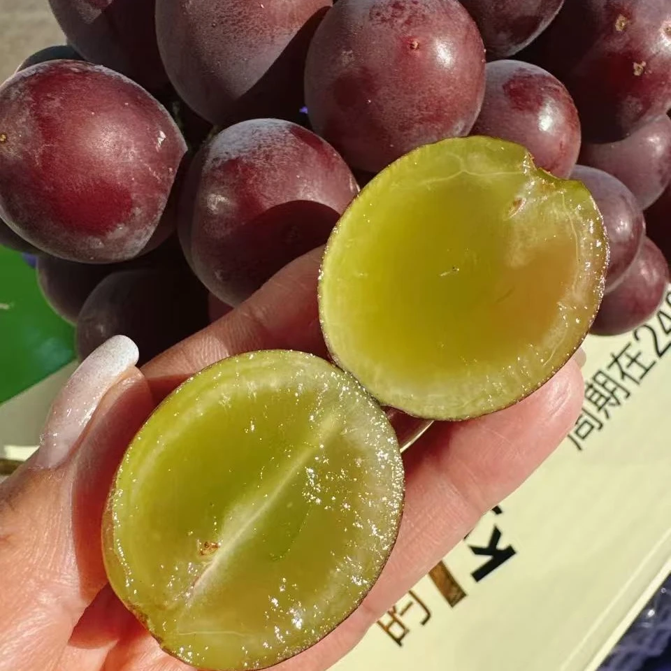 【来此购专属】辽峰葡萄7.99元一斤，现称现改价