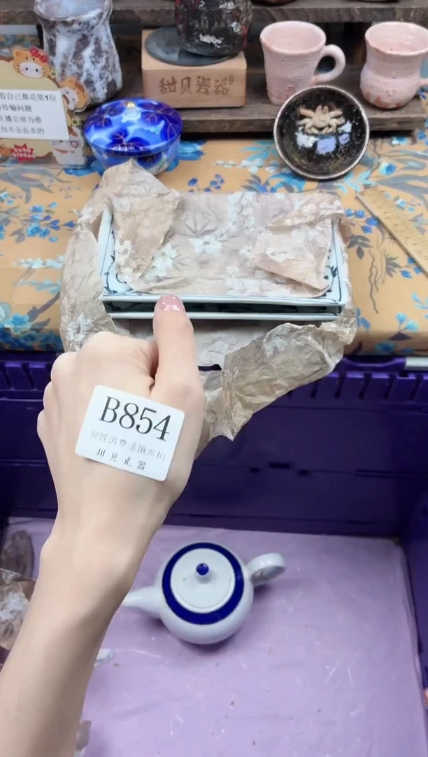 瓷片石*鲸                B854