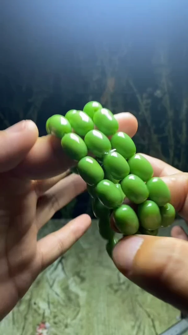 1116 精美项链