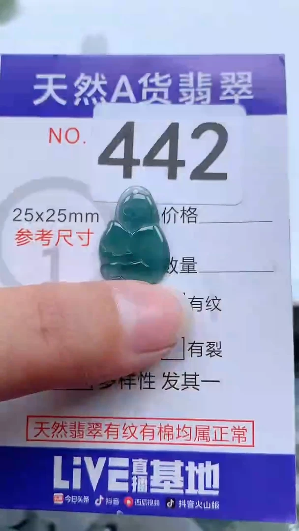 翡翠未镶嵌吊坠(不含链)1