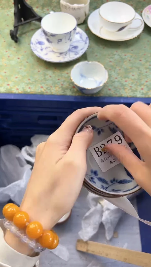 【闪购商品】瓷片          B279