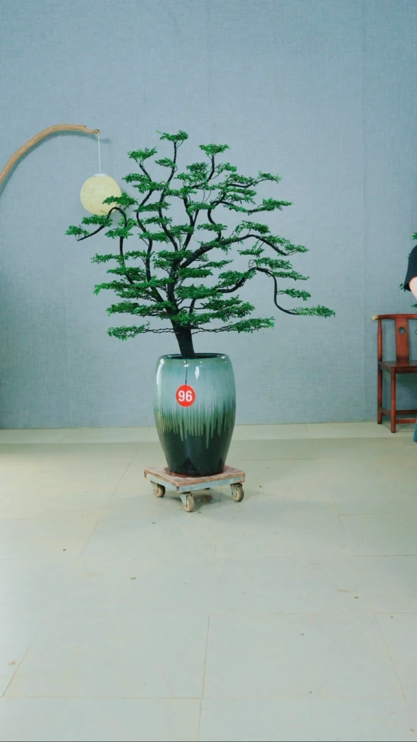 无花朵广东小叶紫檀