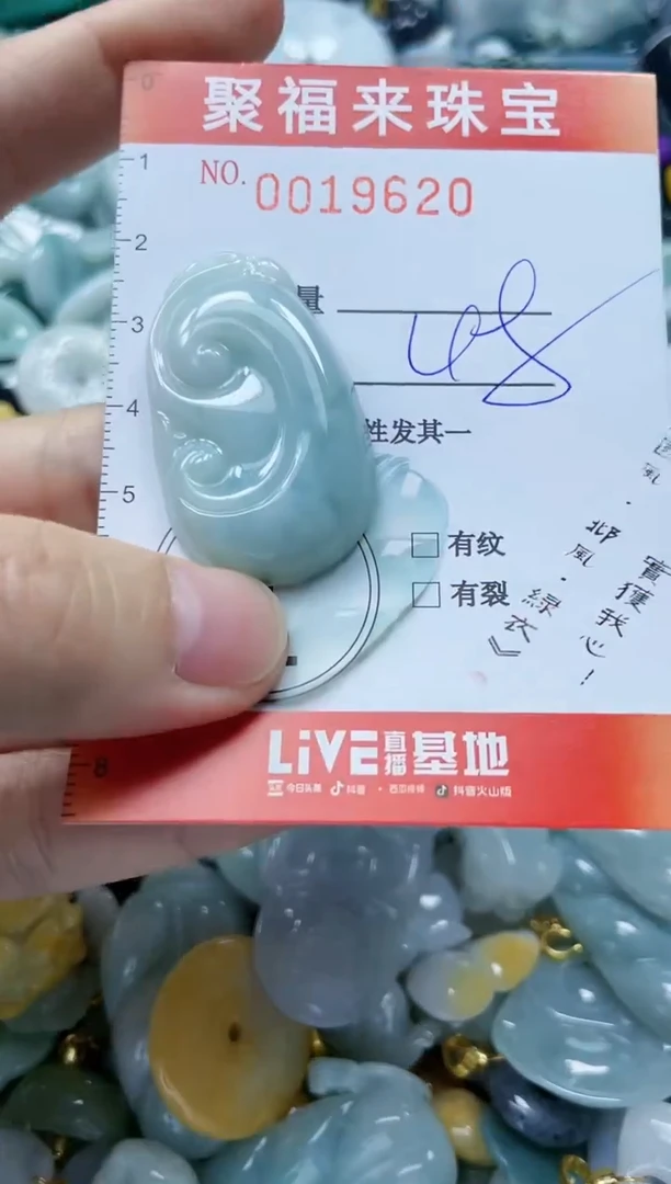 【闪购商品】翡翠颈饰未镶嵌闪购0019620