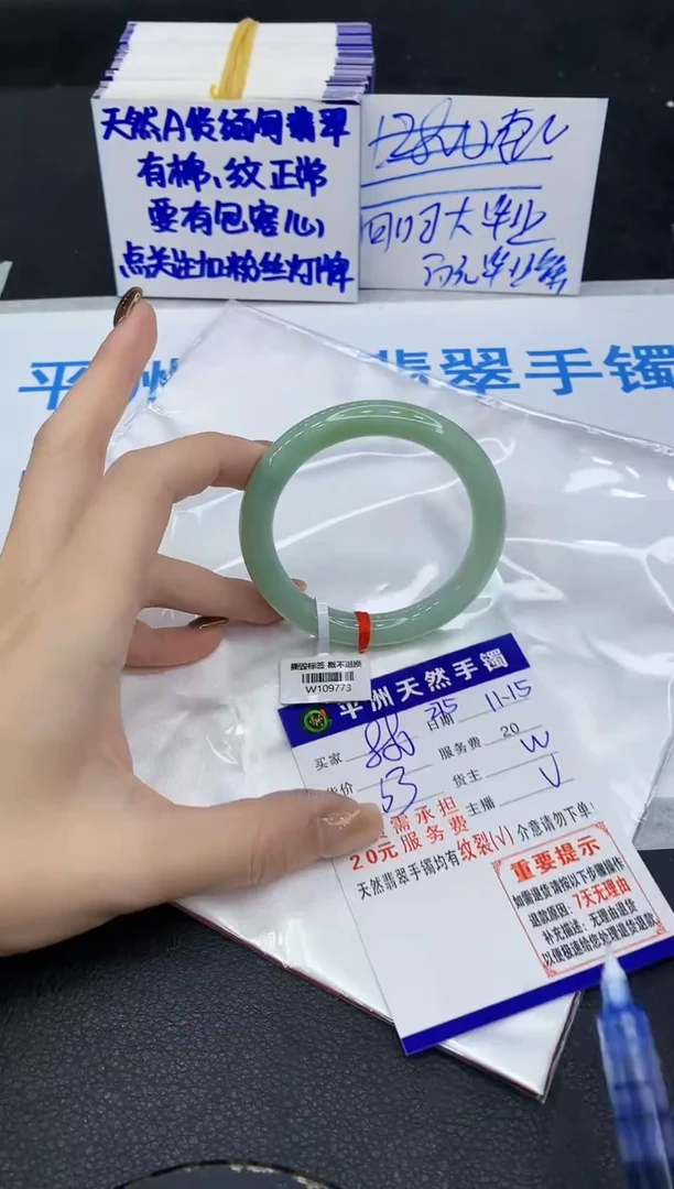 未镶嵌手镯翡翠1