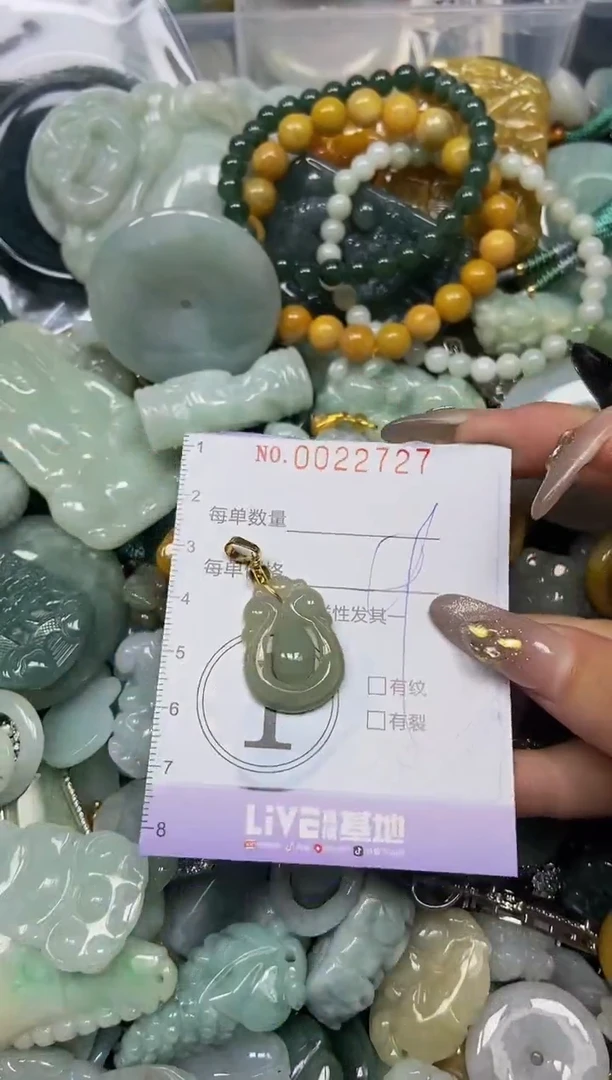 【闪购商品】翡翠颈饰未镶嵌闪购0022727