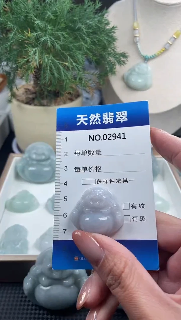 颈饰未镶嵌翡翠纯天然A货翡翠2941