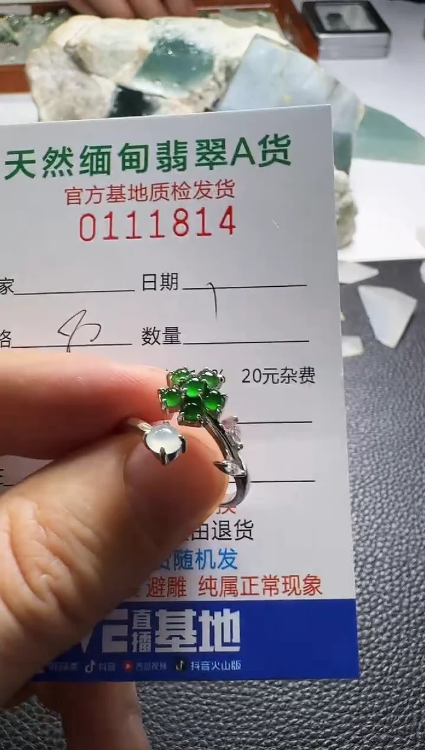 银S925镶嵌定制翡翠V****?翡翠