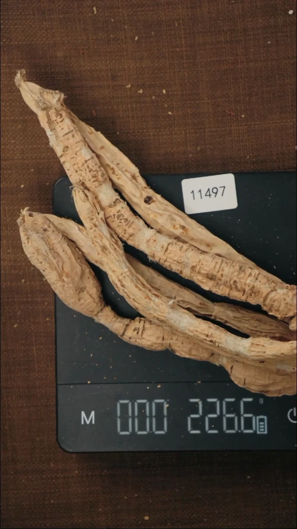 【闪购商品】香榧木木雕11497山野牛大力226g