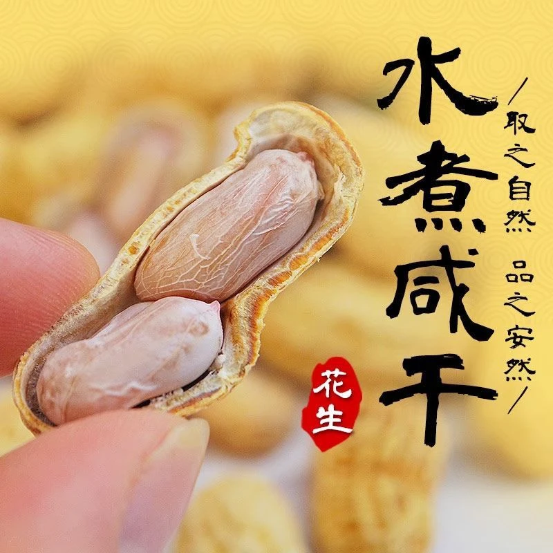 广东特产水煮晒干花生带壳零食盐水煮干花生【不脆不上火】
