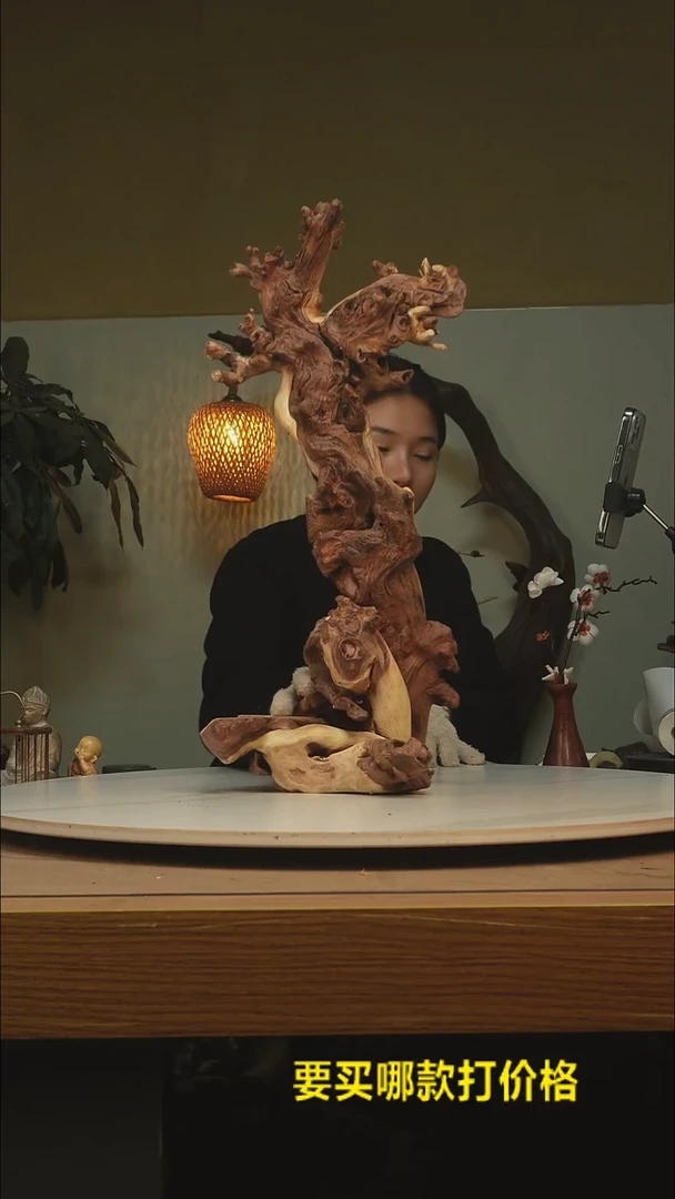 木城****者根雕摆件类044