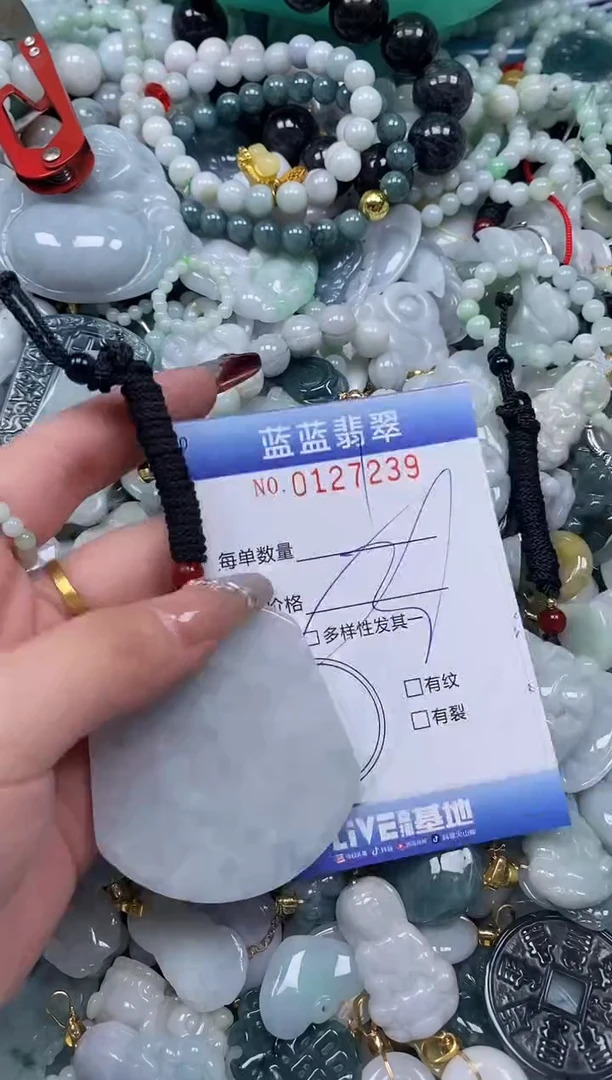 【闪购商品】翡翠颈饰未镶嵌闪购0127239多样性发其一