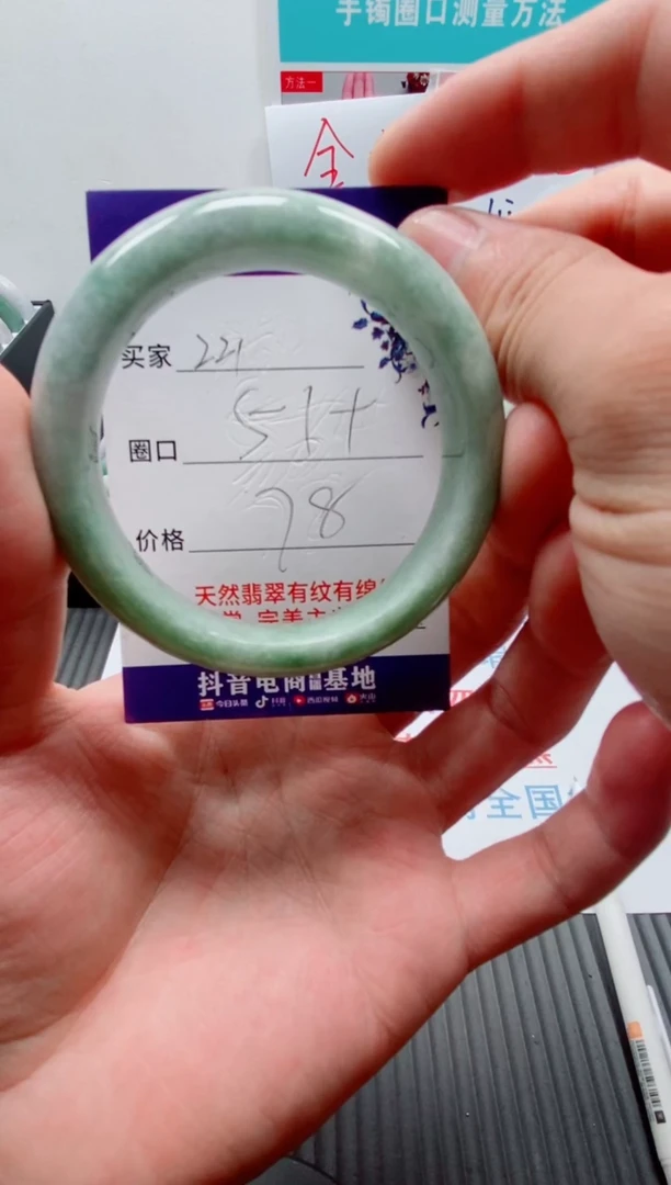 未镶嵌手镯翡翠221