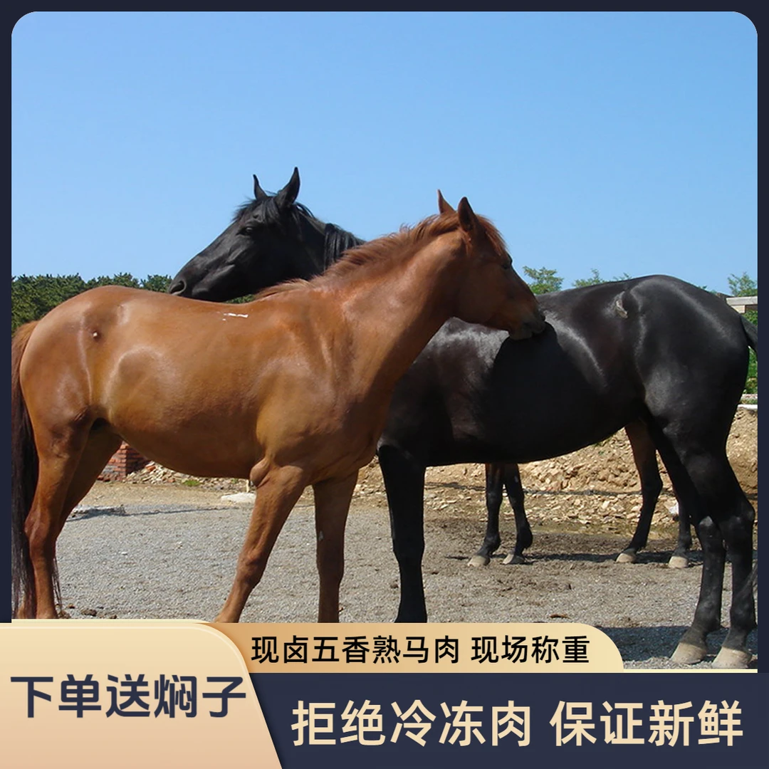 五香熟马肉【自己挑选部位，直播间称重改价】河北特产正宗每天现卤
