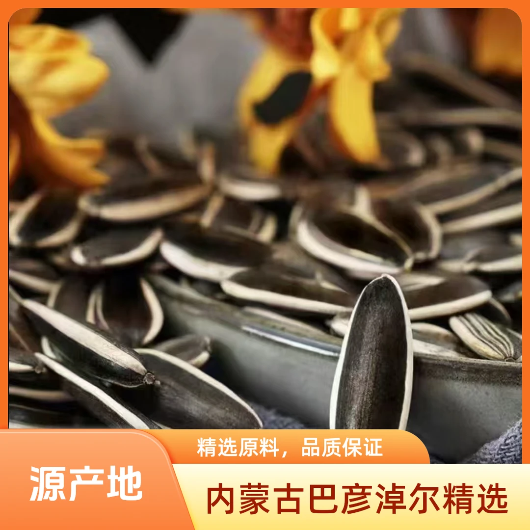 【生 买一斤送一斤】内蒙古新货大颗粒363葵花籽工厂批发【精选】