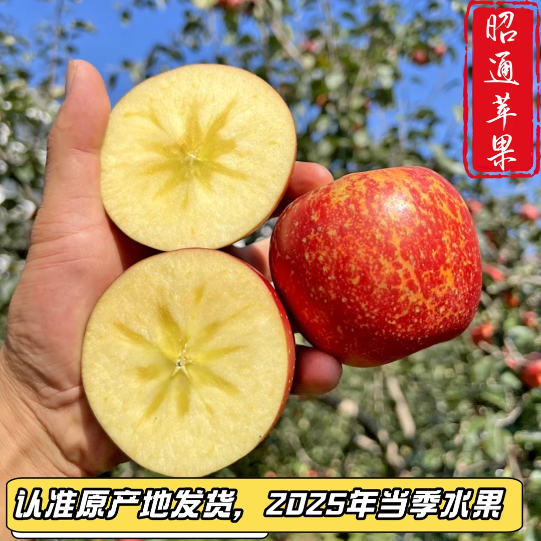 正宗云南昭通糖心苹果2025新鲜现摘抖音脆甜多汁产地直发整箱包邮