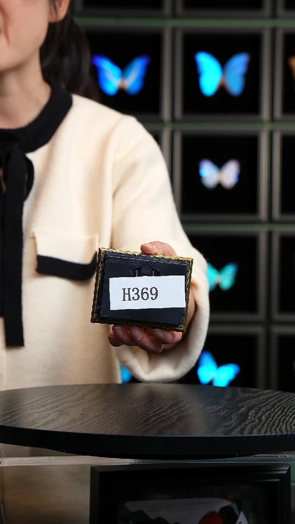 H369蝴蝶标本摆件一口价