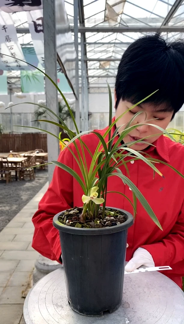 【闪购商品】西神，4094