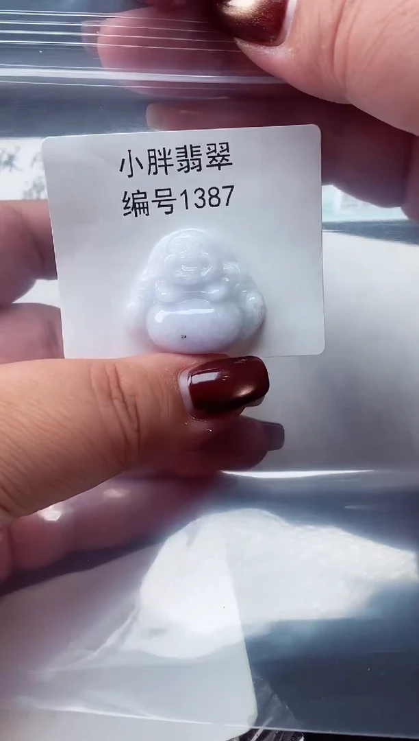 颈饰未镶嵌翡翠缅甸天然A货翡翠1387