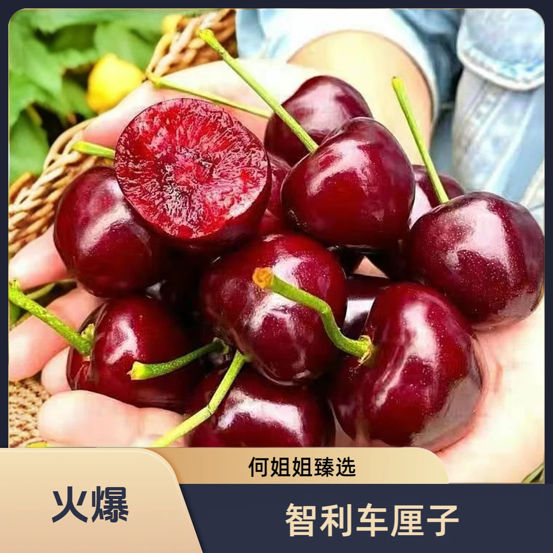 【何姐姐臻选】智利进口 桑提娜 3J车厘子 1kg/2.5kg