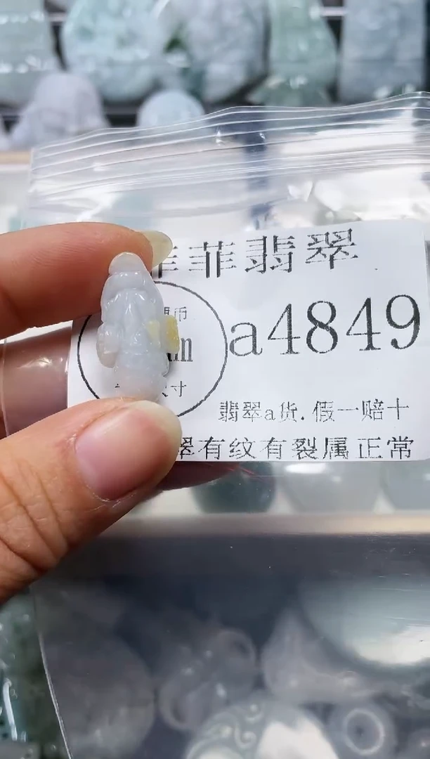 【闪购商品】翡翠颈饰未镶嵌闪购4849