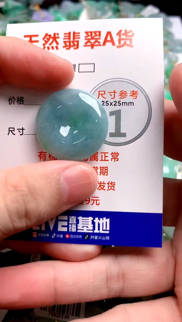 翡翠未镶嵌颈饰24000276