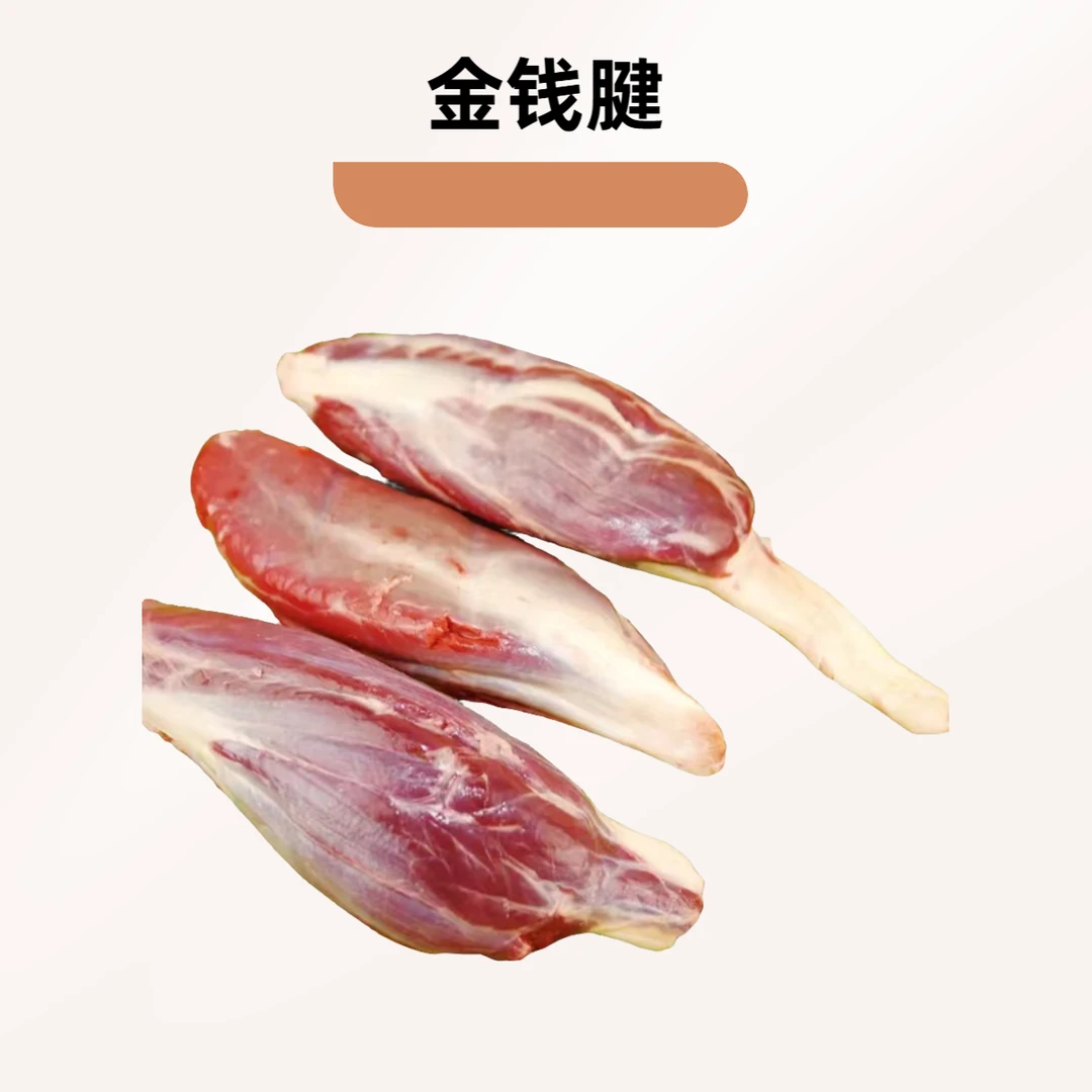 金钱腱（小腱子）