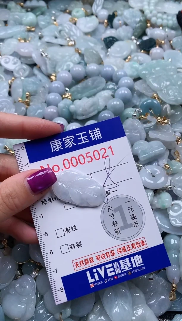 颈饰未镶嵌翡翠5021