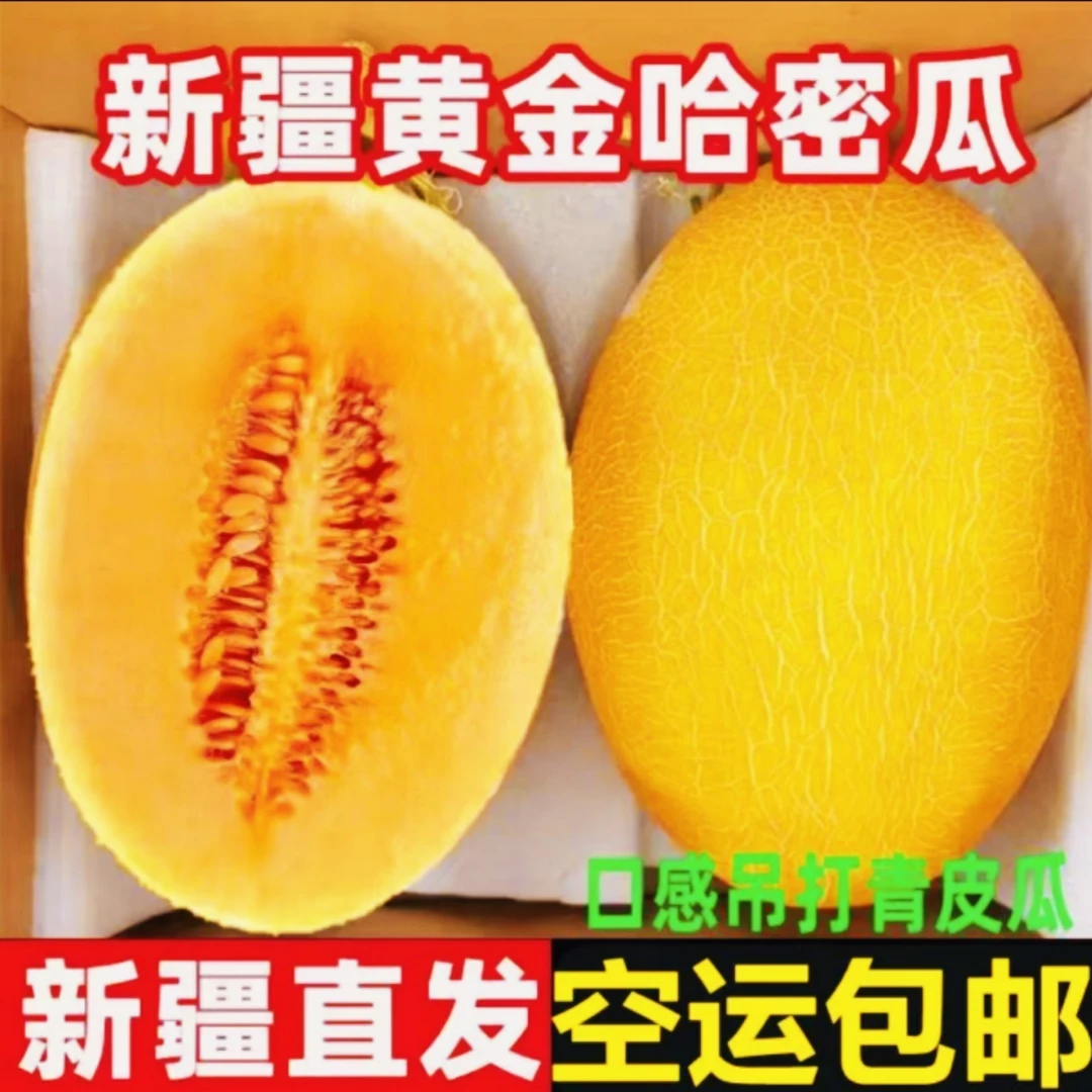 新疆空运直发吐鲁番金色年华哈密瓜现摘现发当季新鲜水果