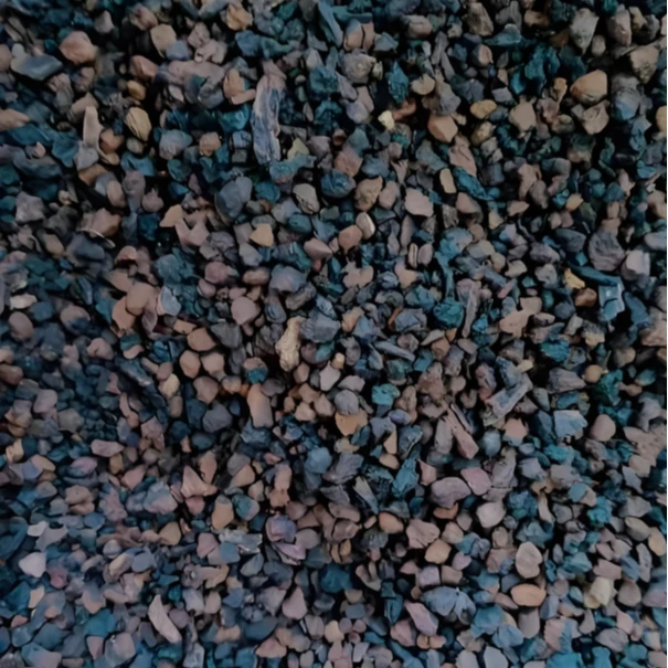 东北 长白山 桦树茸  1瓶 泡水 冲服
