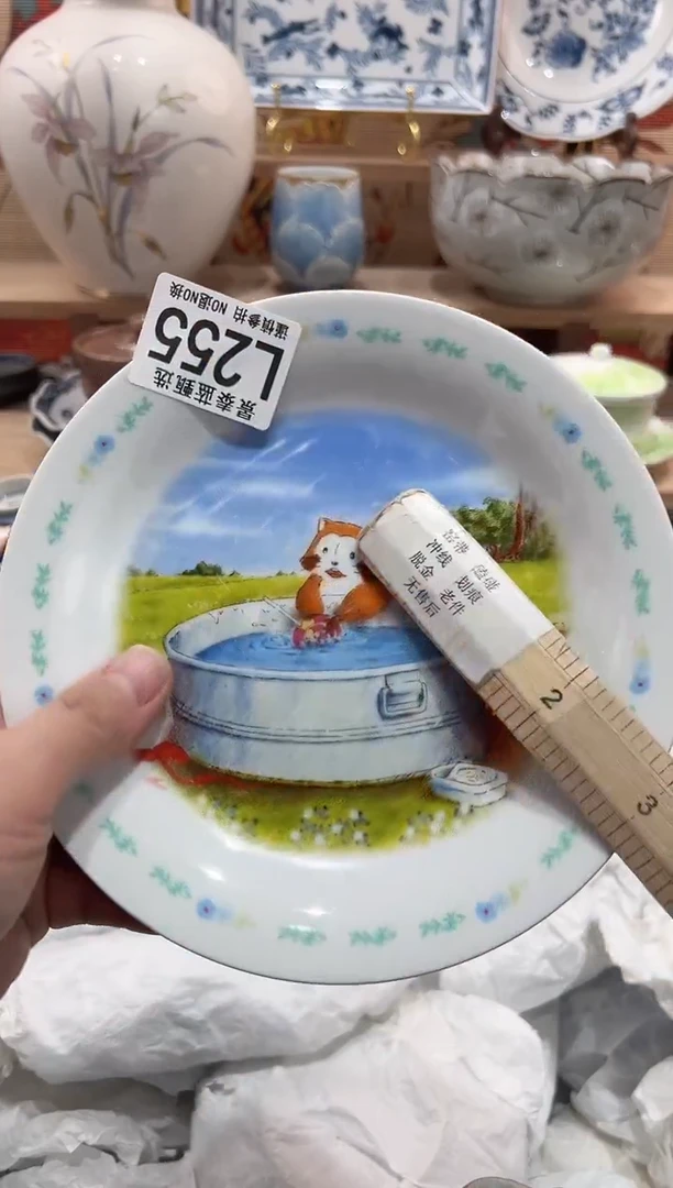 【闪购商品】瓷片当天凑满25米包邮L255