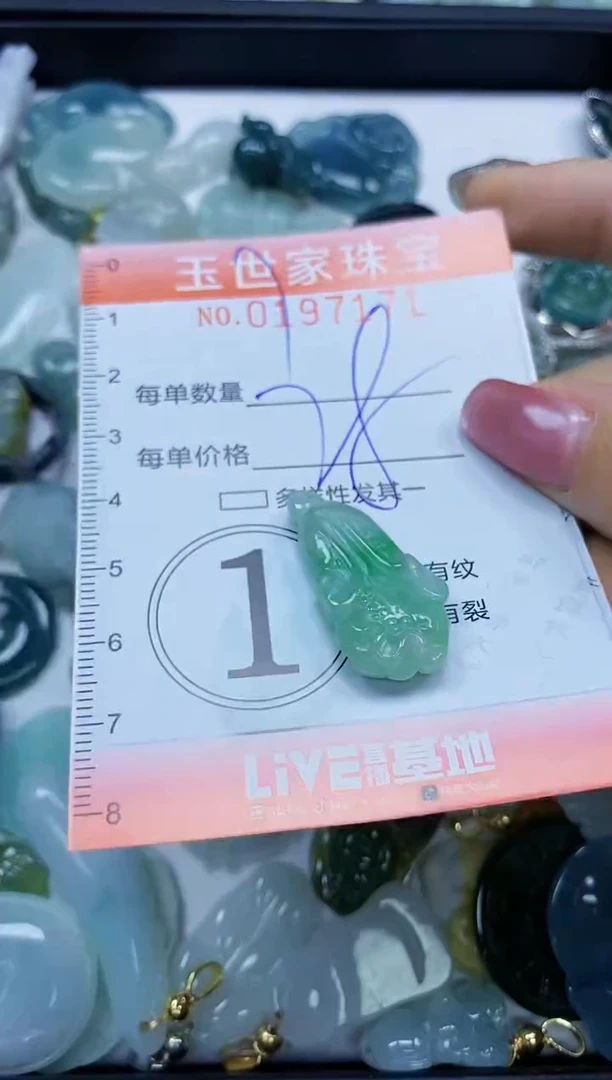 【闪购商品】翡翠颈饰未镶嵌闪购0197171