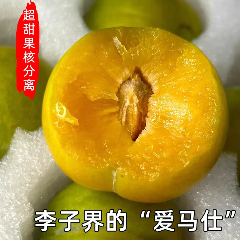 【六马蜂糖李】正宗贵州六马蜂糖李 当季新鲜水果孕妇礼盒装