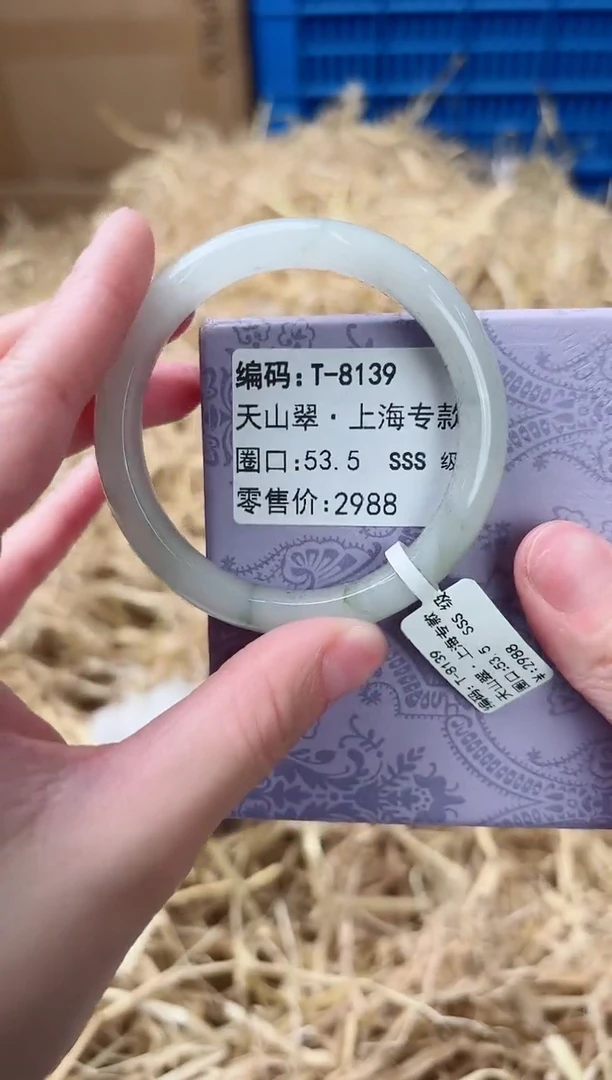 未镶嵌手镯石英质玉T-8139