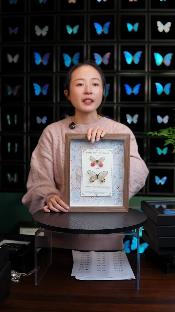 玫瑰绡眼蝶+黄晶眼蝶布艺款