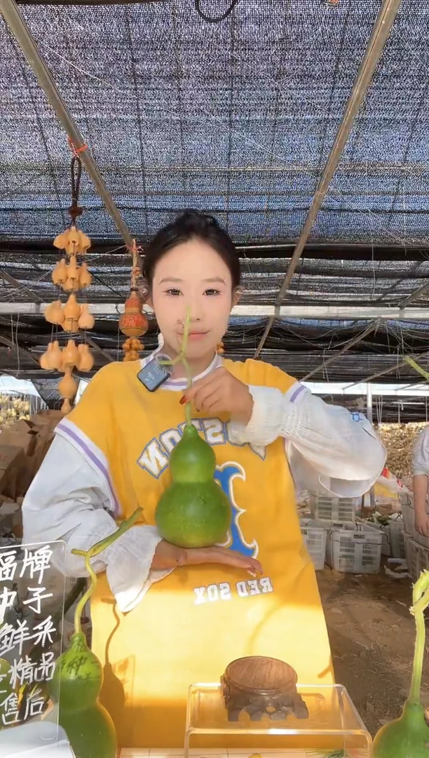 076天然葫芦摆件 一物一拍龙头不保售后