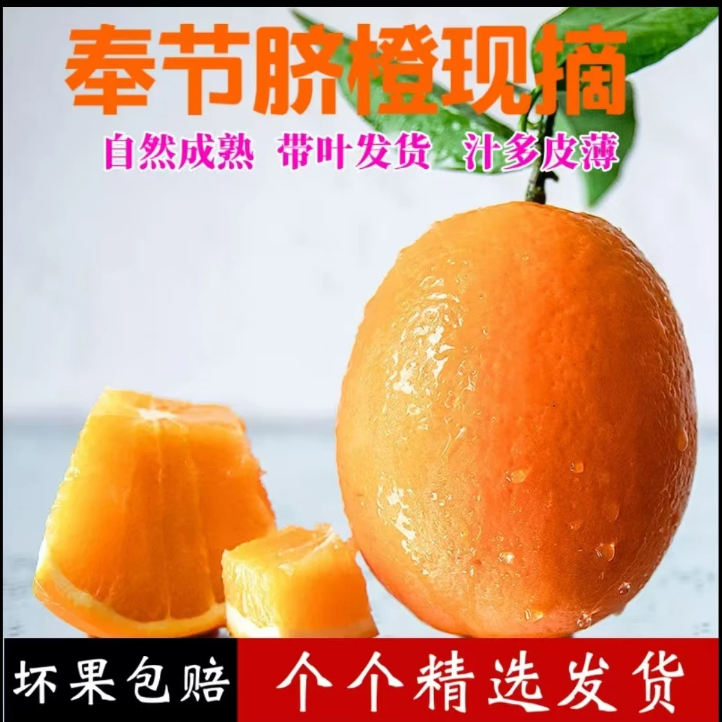 奉节脐橙橙子现摘现发应季水果纽荷尔鲜橙皮薄鲜甜甜橙新鲜柑橘