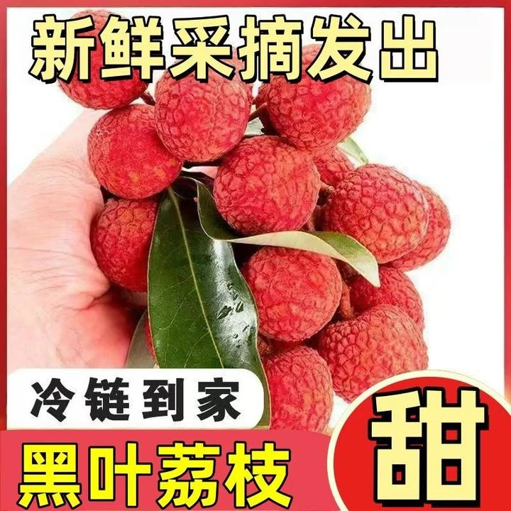 【产地冷链直发】老树乌叶荔枝 当季现摘新鲜水果人工精选